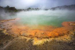 New Zealand 2025 (2 group) (78/84)